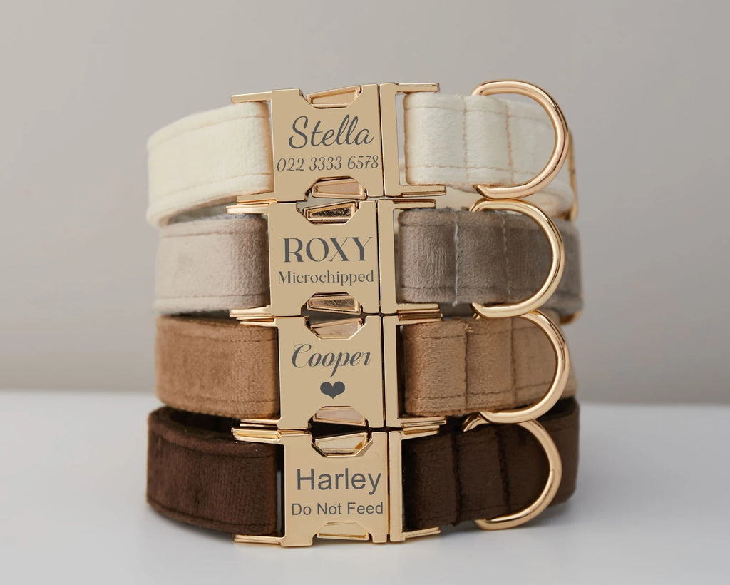 Handcrafted Velvet Dog Collar – Personalized Luxury for Stylish Pets