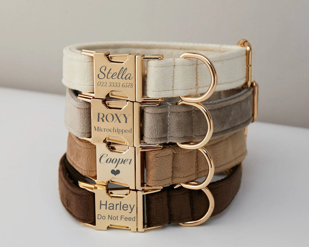 Handcrafted Velvet Dog Collar – Personalized Luxury for Stylish Pets